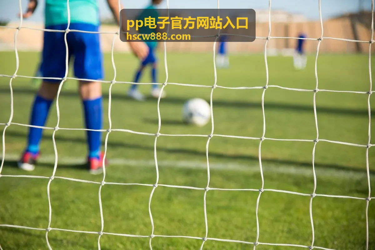 pp电子官方网站入口访问指引图解
