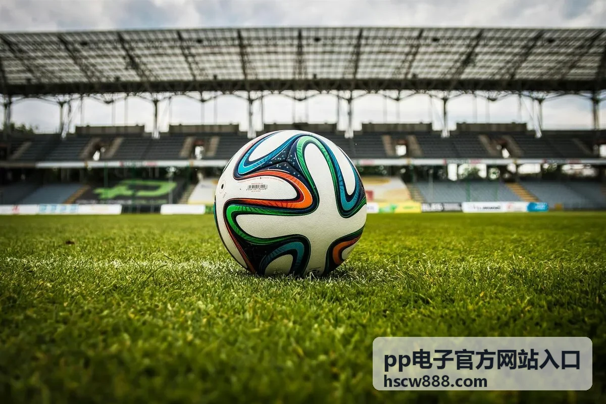 pp电子官方网站入口平台界面展示